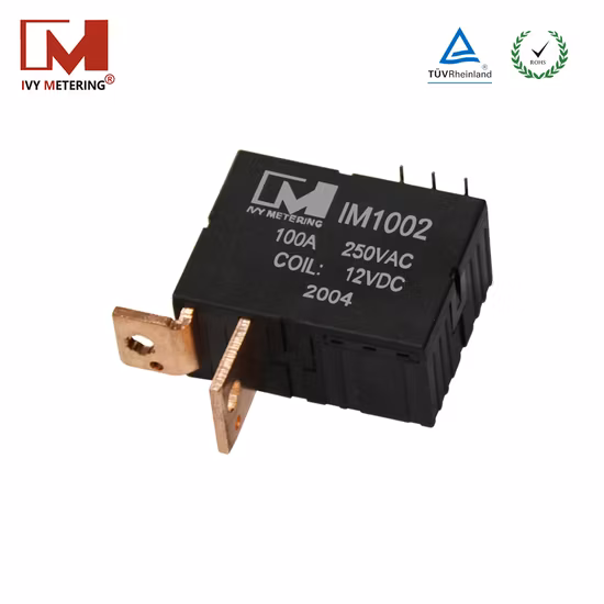 Magnetic Latching Relay