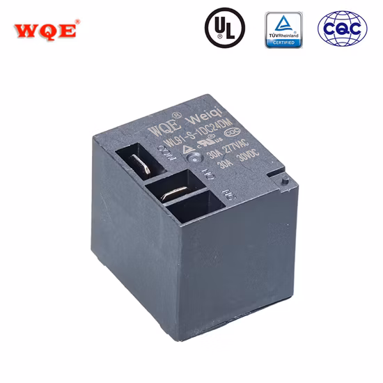 UL/CE/TUV 30A 40A 12V Coil 2 Pole Contact Dpst No PCB Power Relay for EV Charger
